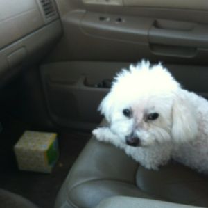 Meet your Posher, Mary